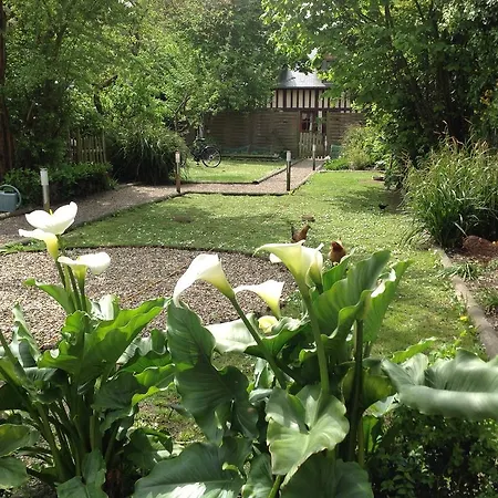Le Fond De La Cour Honfleur