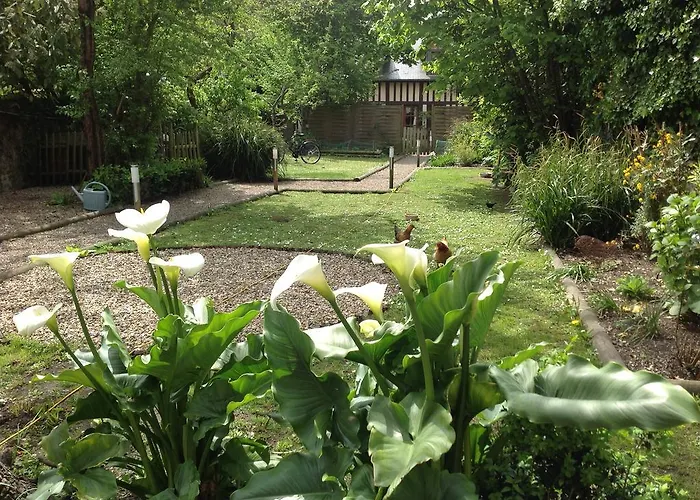 Le Fond De La Cour Honfleur